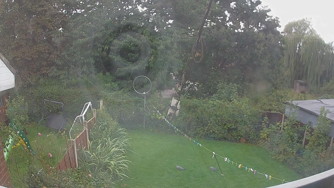 20260916_130103_cam1.jpg