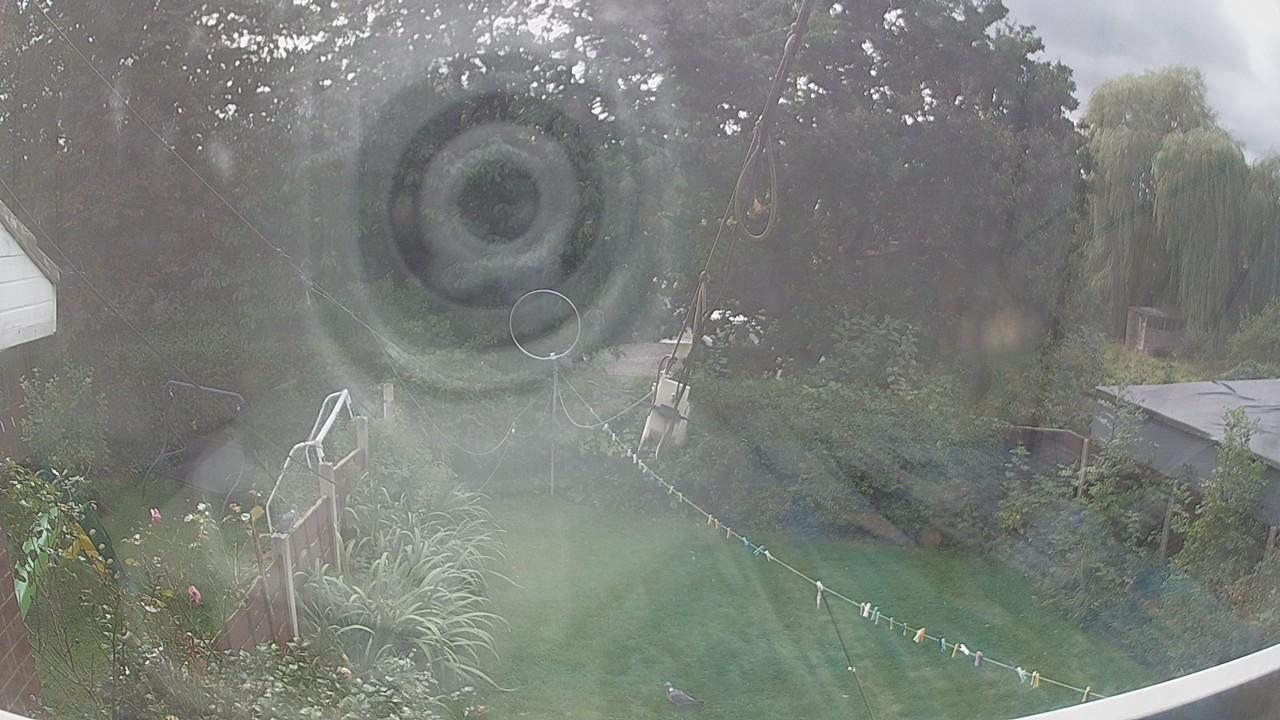 20260916_132245_cam1.jpg