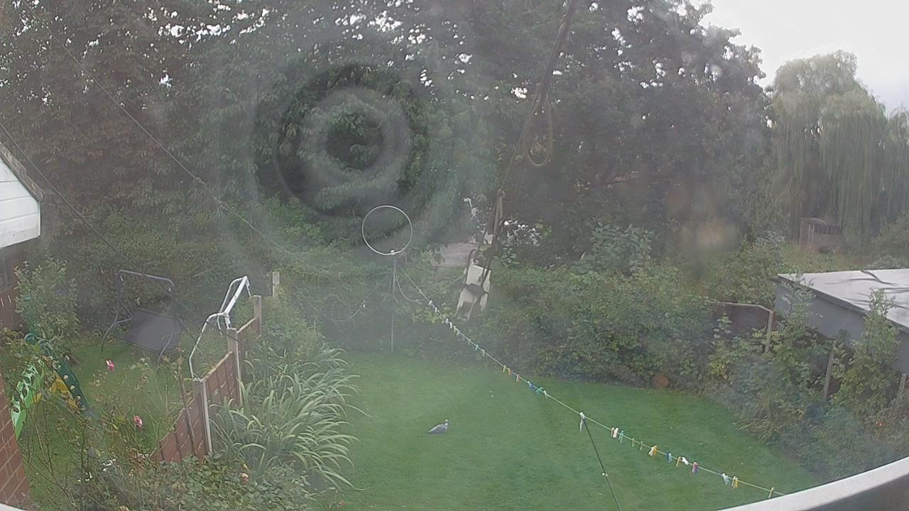 20260916_153140_cam1.jpg