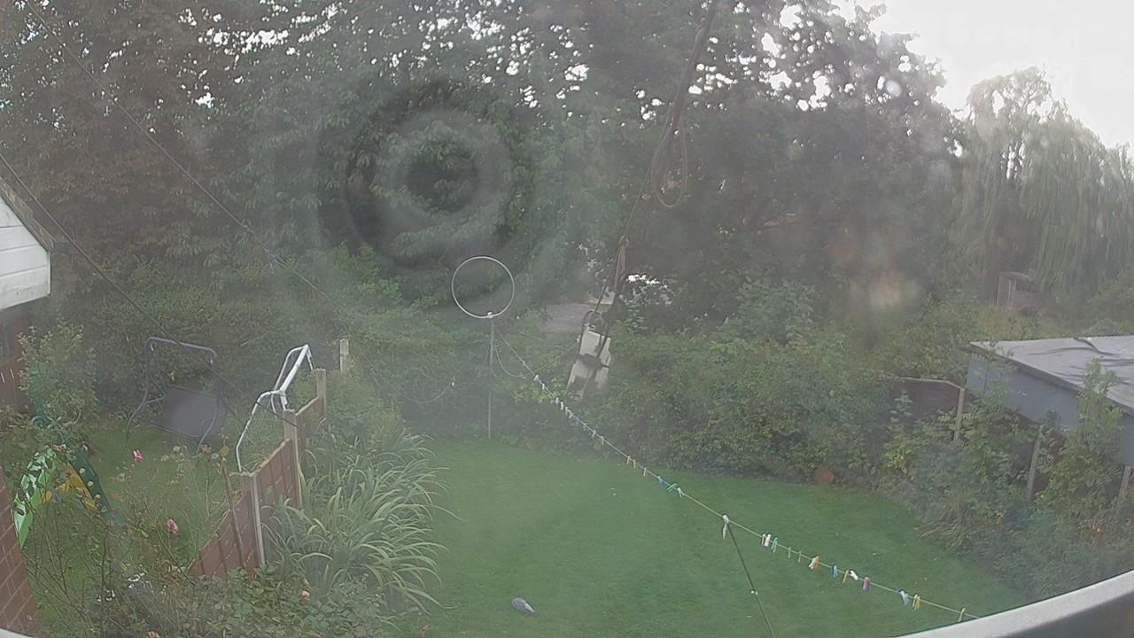 20260916_160129_cam1.jpg