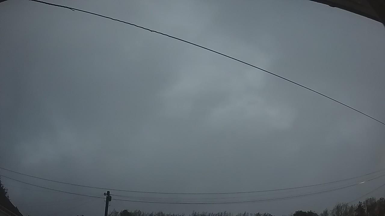 20260917_053039_cam2.jpg