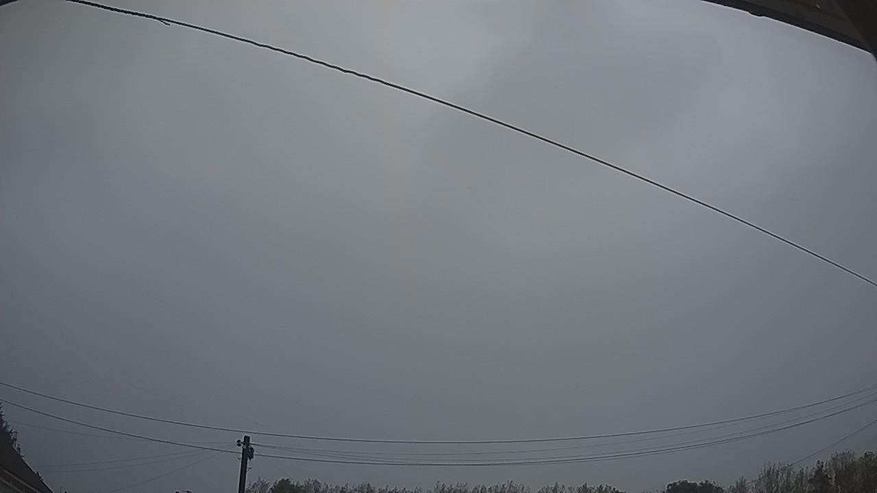 20260917_053726_cam2.jpg