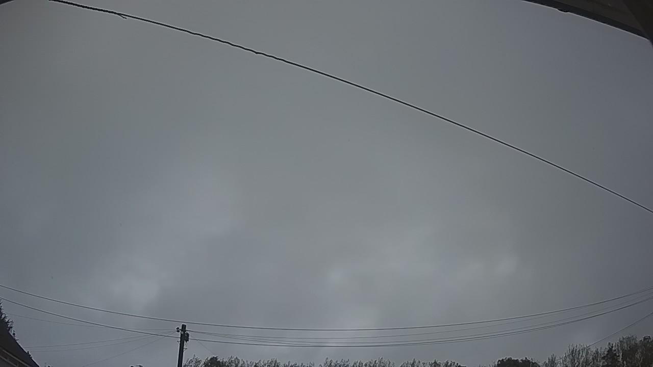 20260917_054415_cam2.jpg