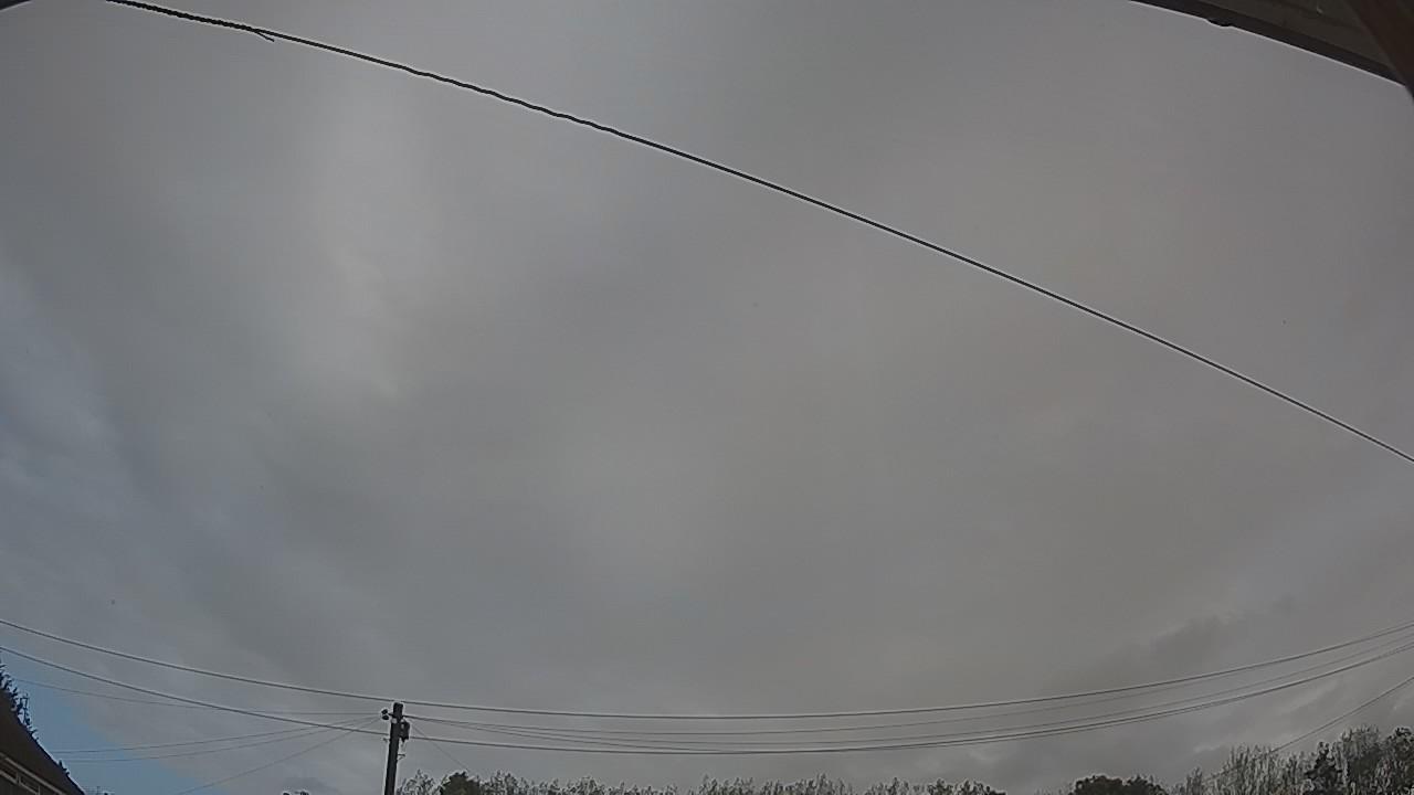 20260917_080730_cam2.jpg
