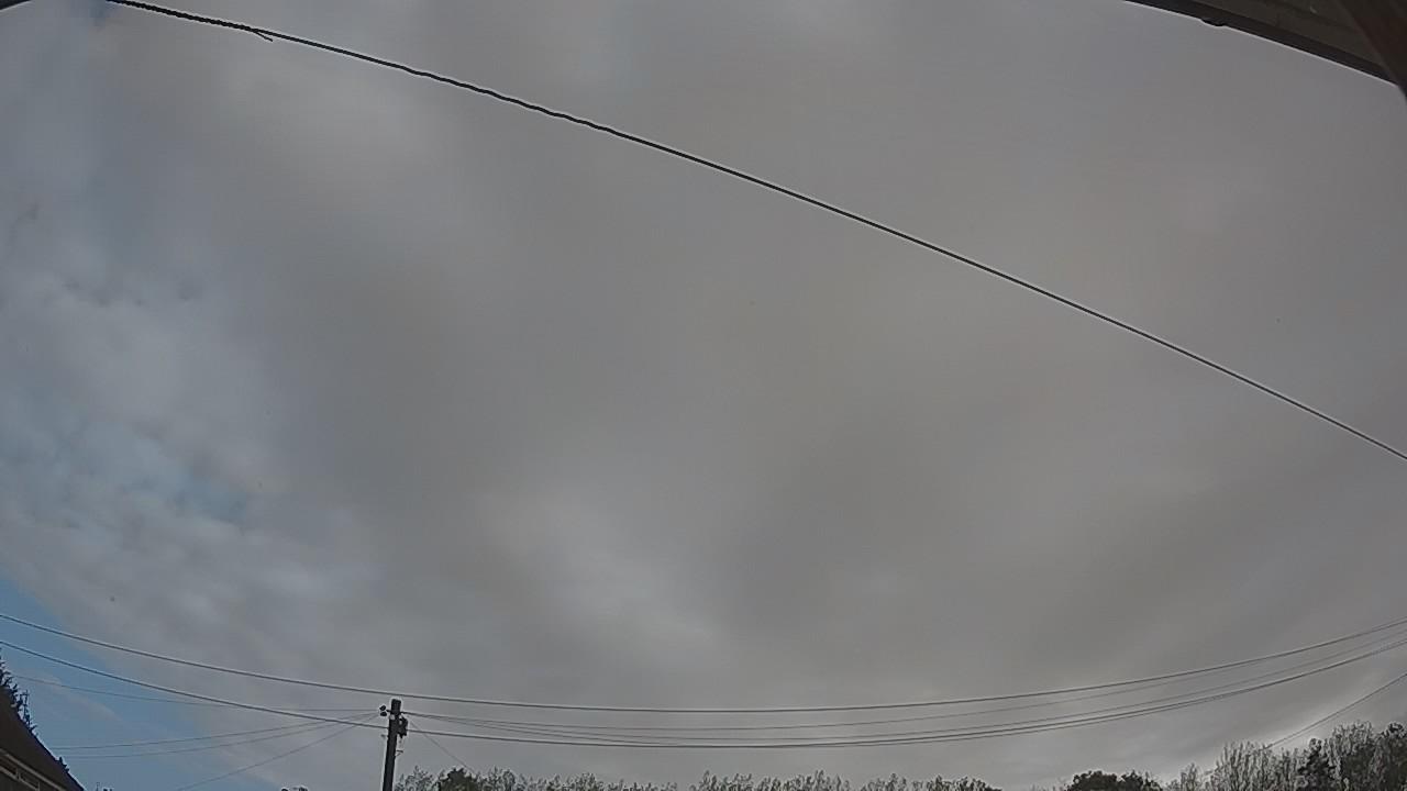 20260917_081121_cam2.jpg