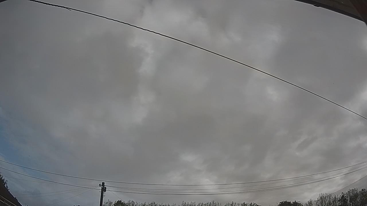 20260917_081902_cam2.jpg