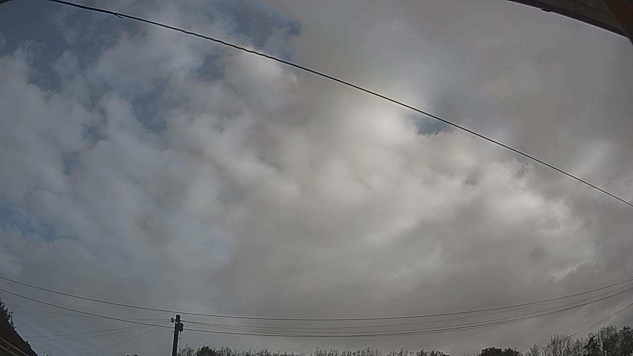 20260917_082645_cam2.jpg