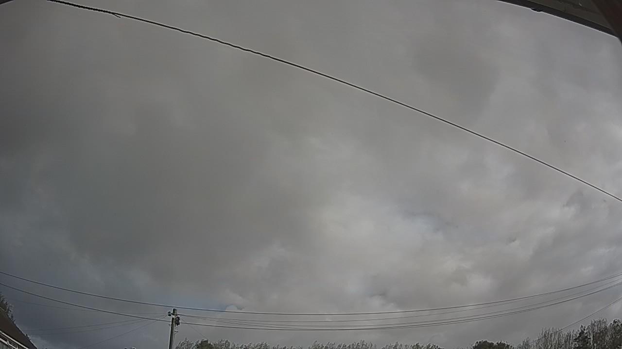 20260917_100258_cam2.jpg