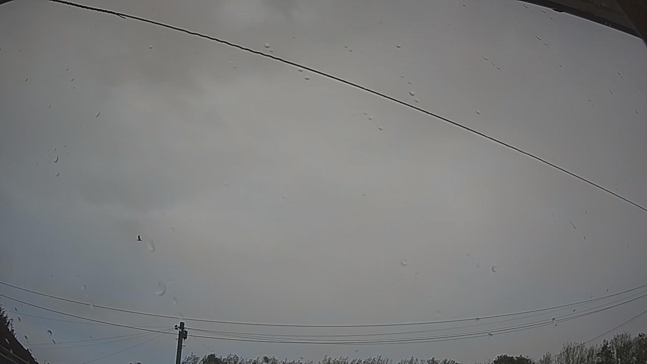 20260917_133310_cam2.jpg