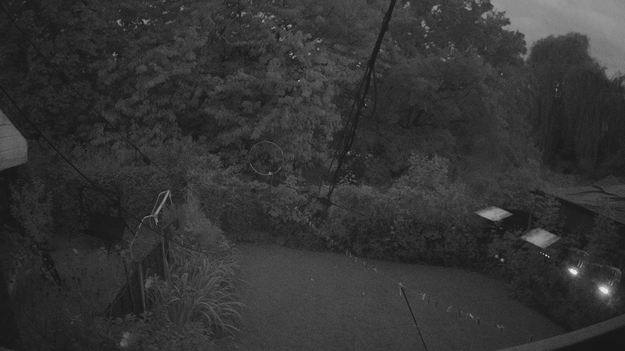 20260917_185242_cam1.jpg