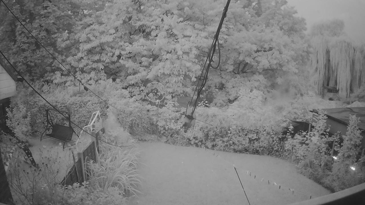 20260918_052204_cam1.jpg