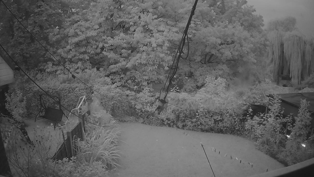 20260918_052556_cam1.jpg
