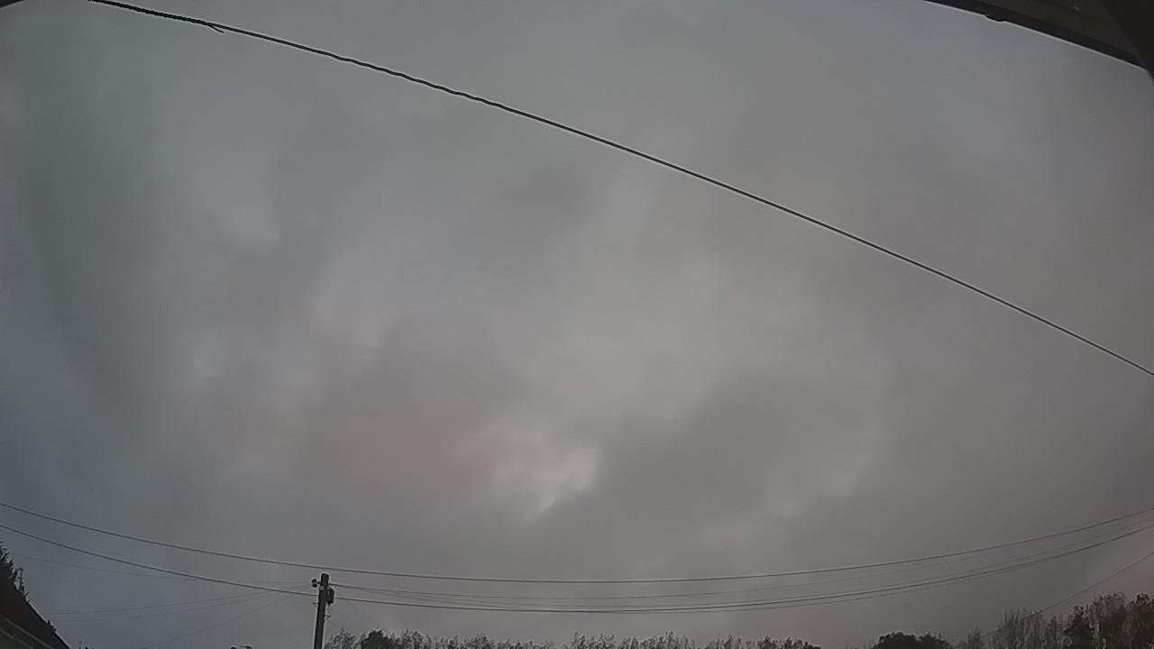 20260918_053005_cam2.jpg