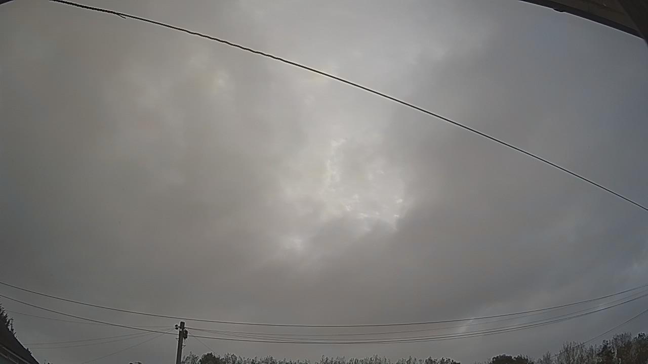 20260918_055048_cam2.jpg