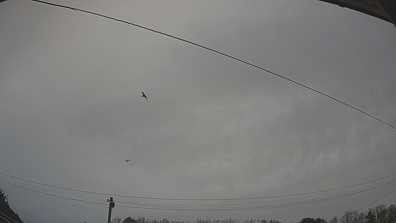 20260918_073437_cam2.jpg