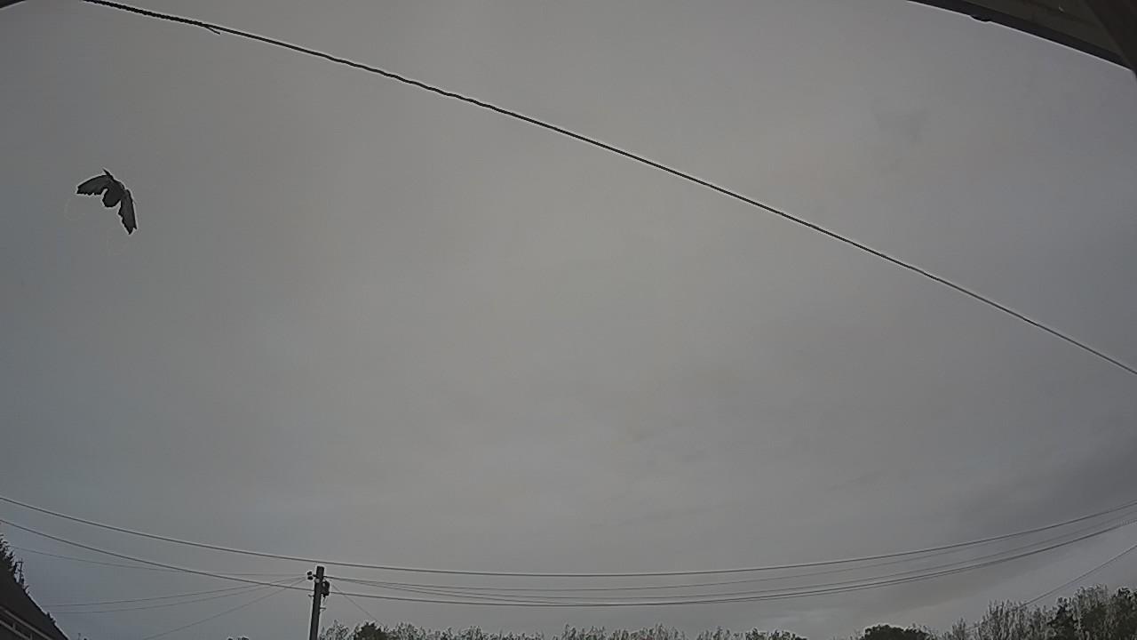 20260918_090106_cam2.jpg