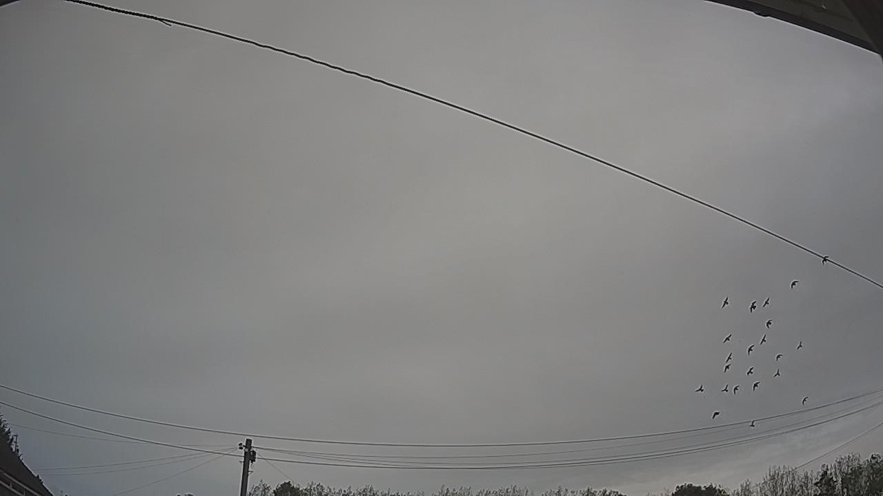 20260918_090940_cam2.jpg