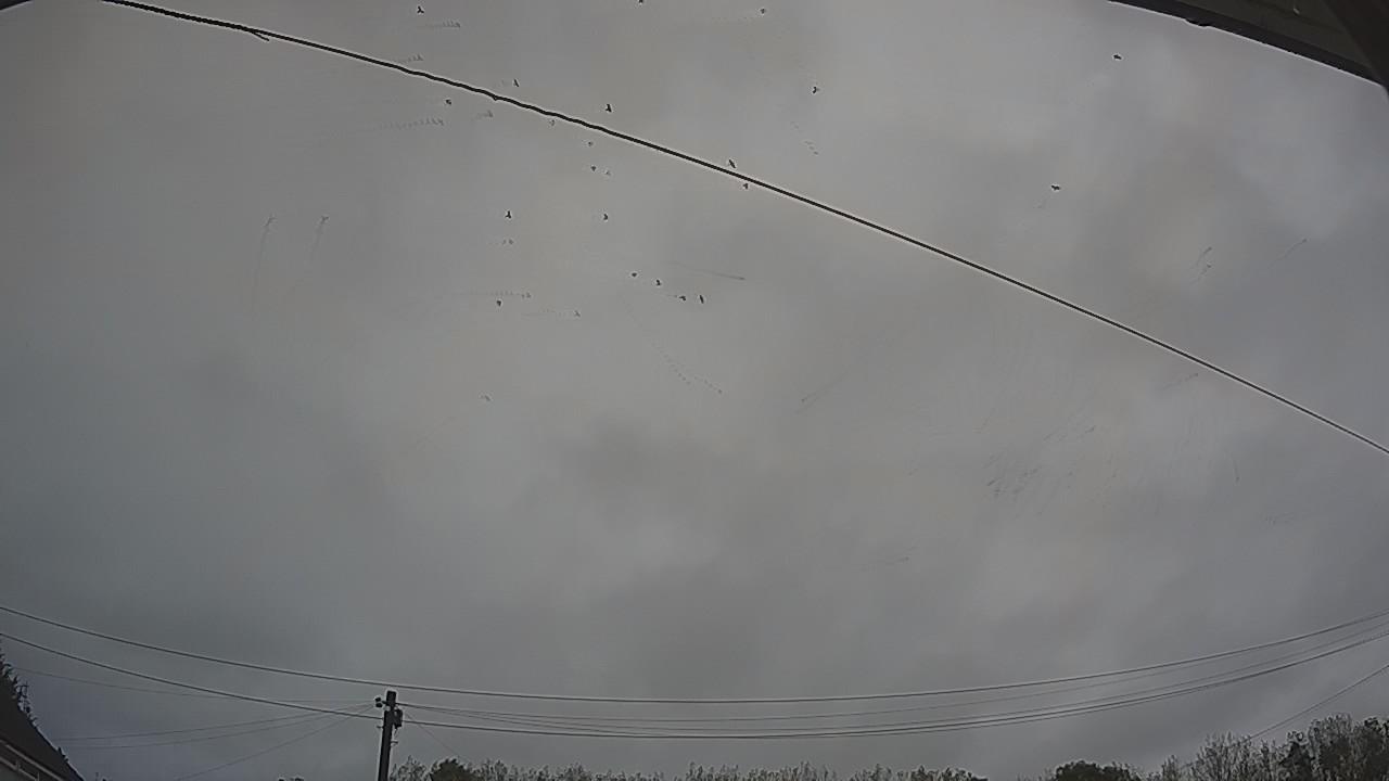 20260918_171102_cam2.jpg