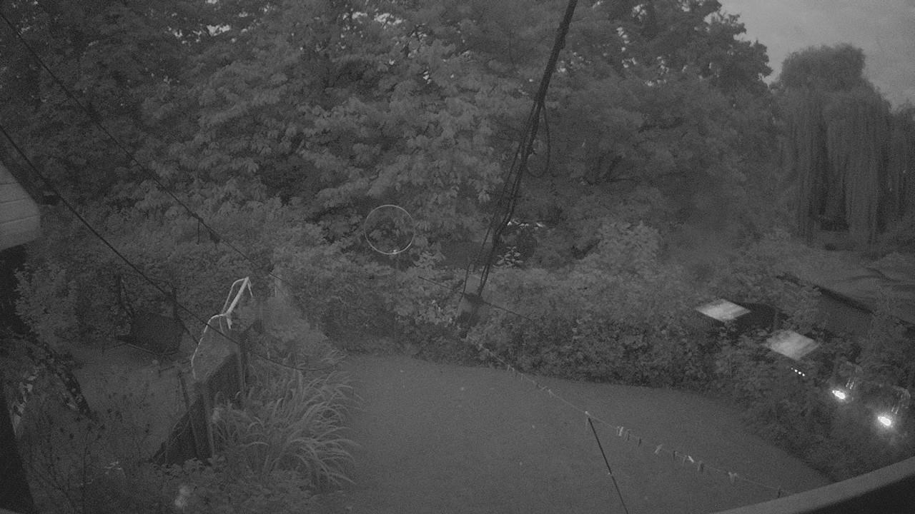 20260919_051719_cam1.jpg