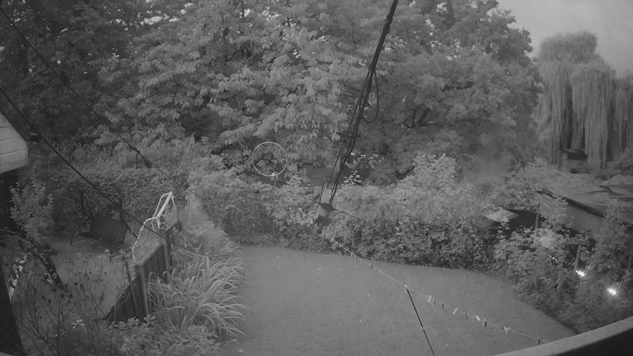 20260919_052443_cam1.jpg