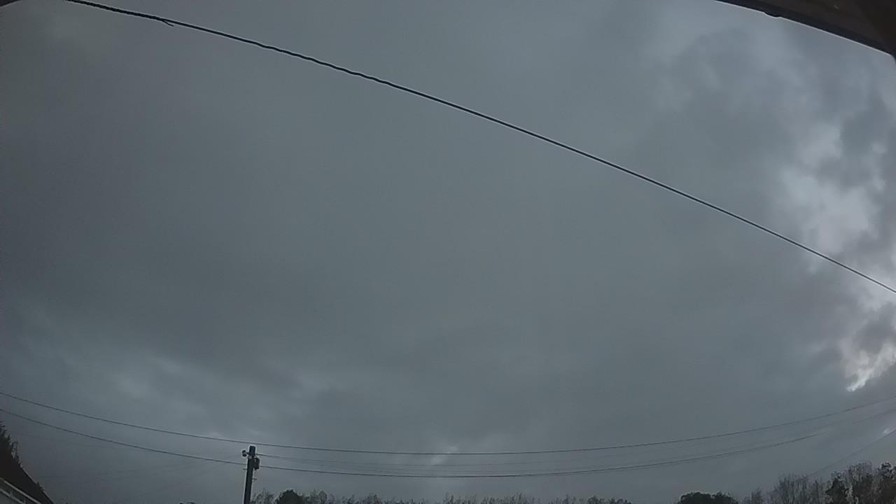 20260919_052444_cam2.jpg