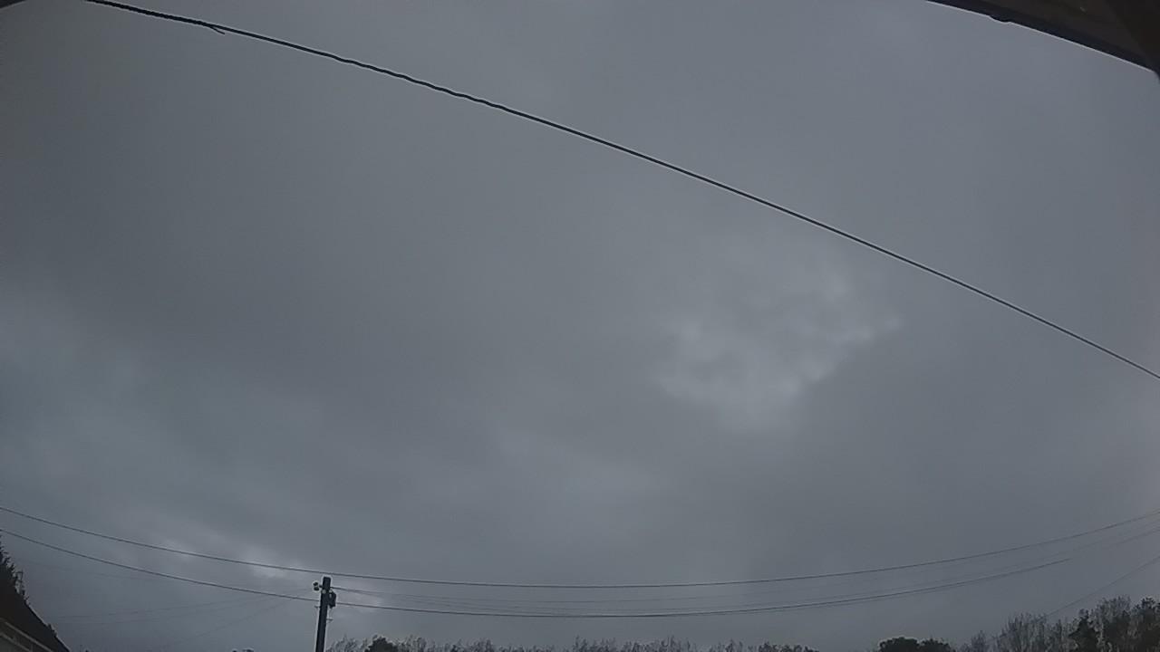 20260919_052825_cam2.jpg