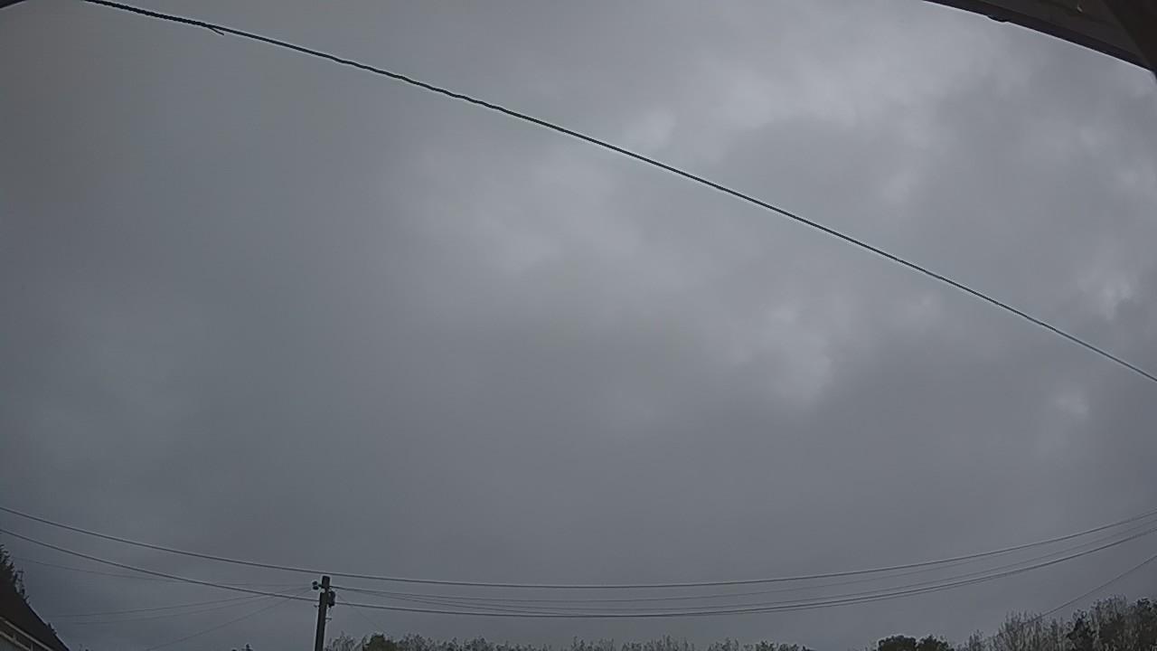 20260919_055037_cam2.jpg