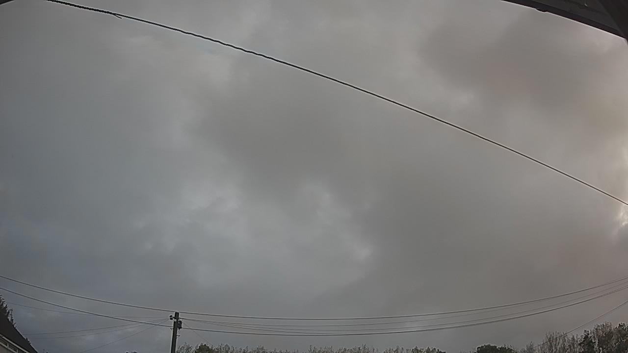 20260919_060904_cam2.jpg