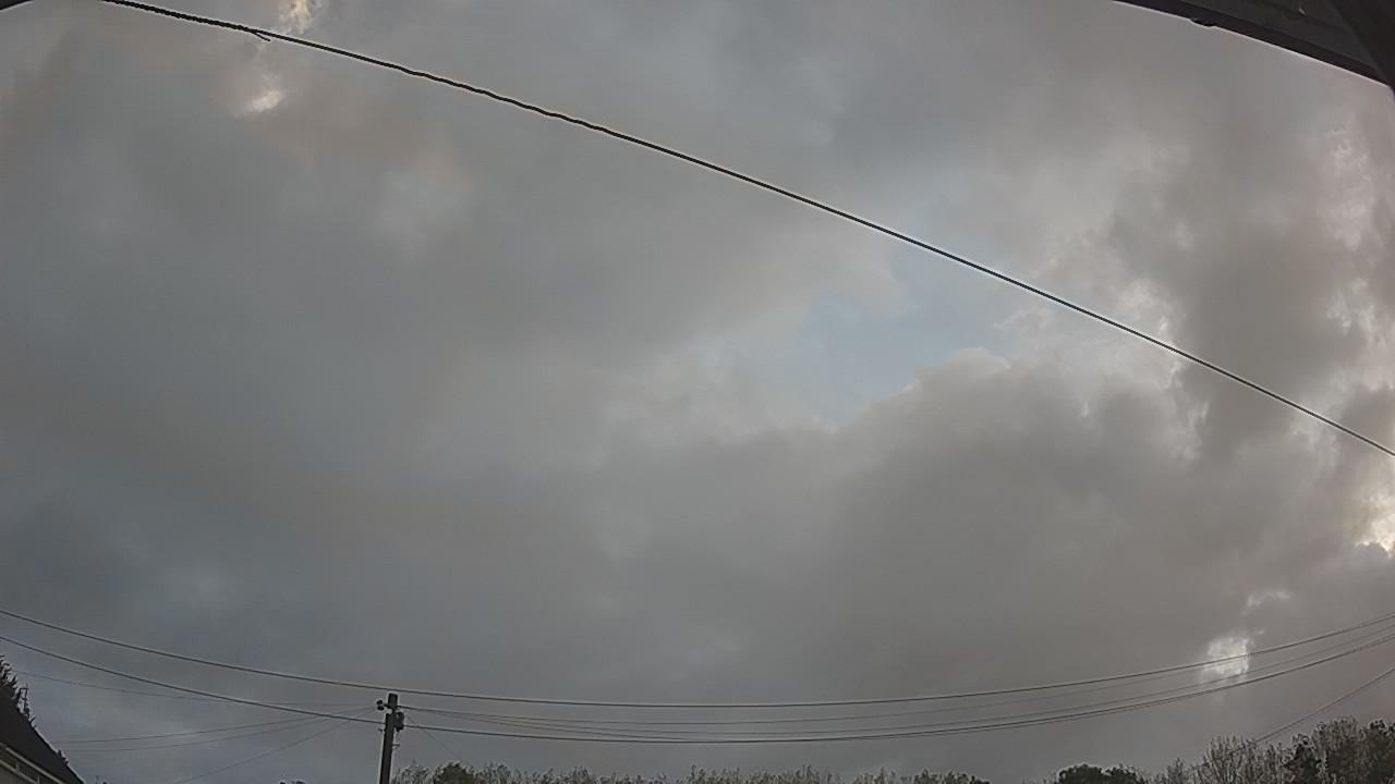 20260919_061246_cam2.jpg