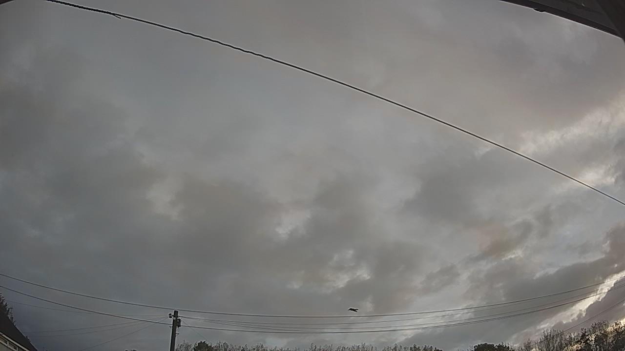 20260919_063126_cam2.jpg