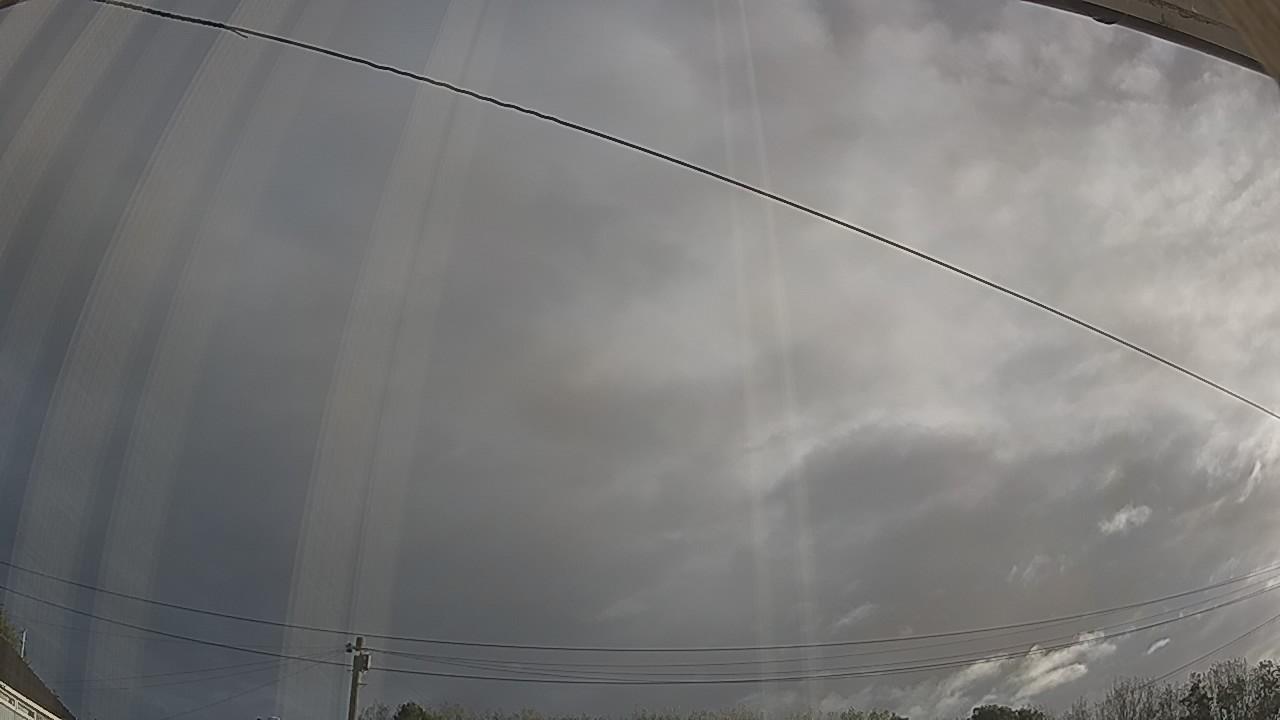 20260919_065429_cam2.jpg
