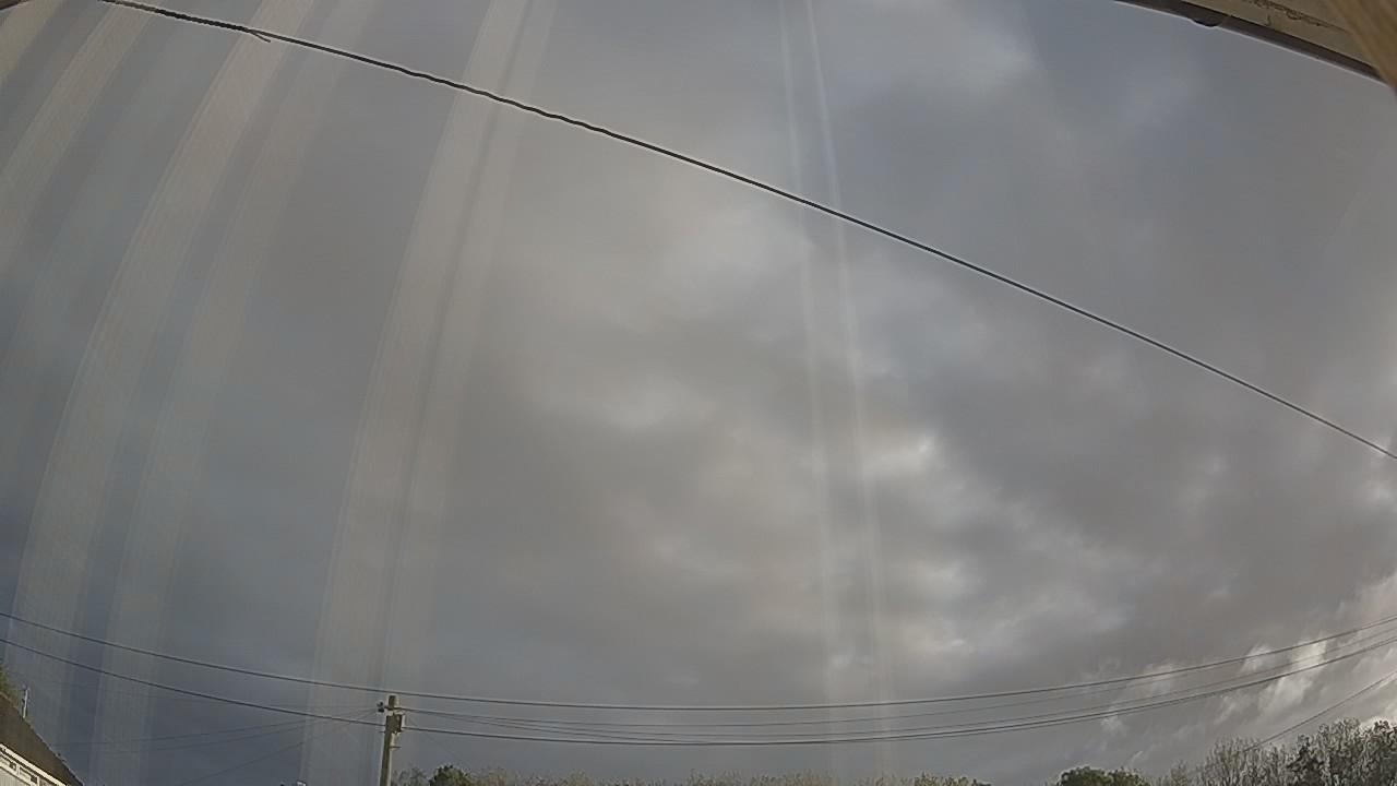 20260919_070209_cam2.jpg