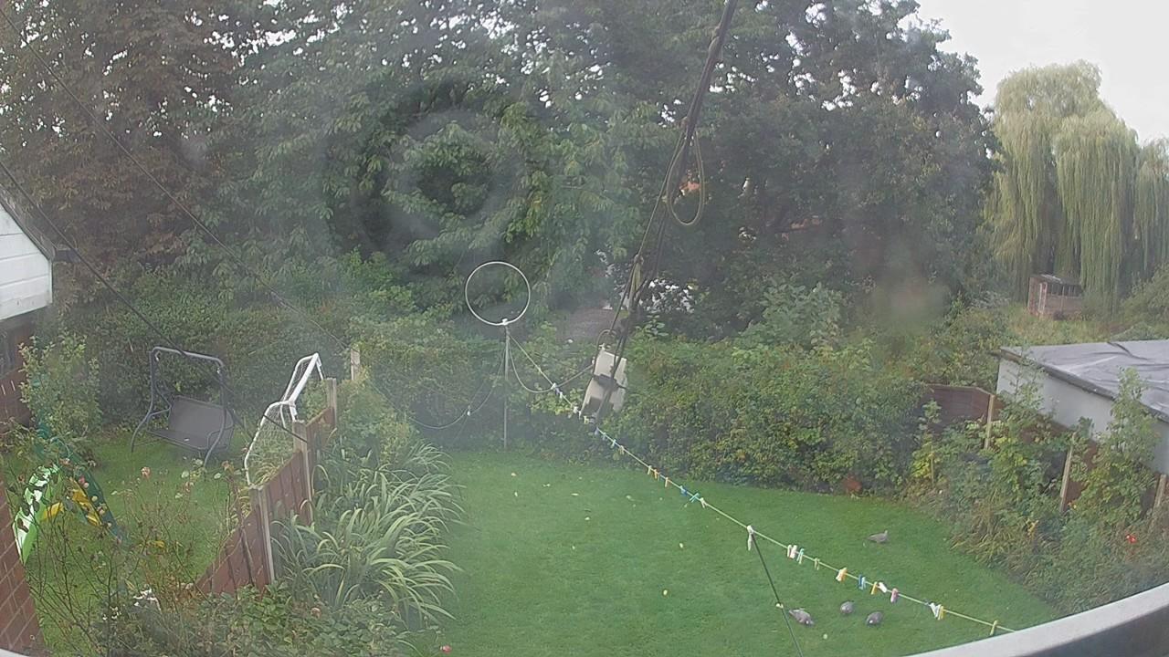 20260919_070950_cam1.jpg