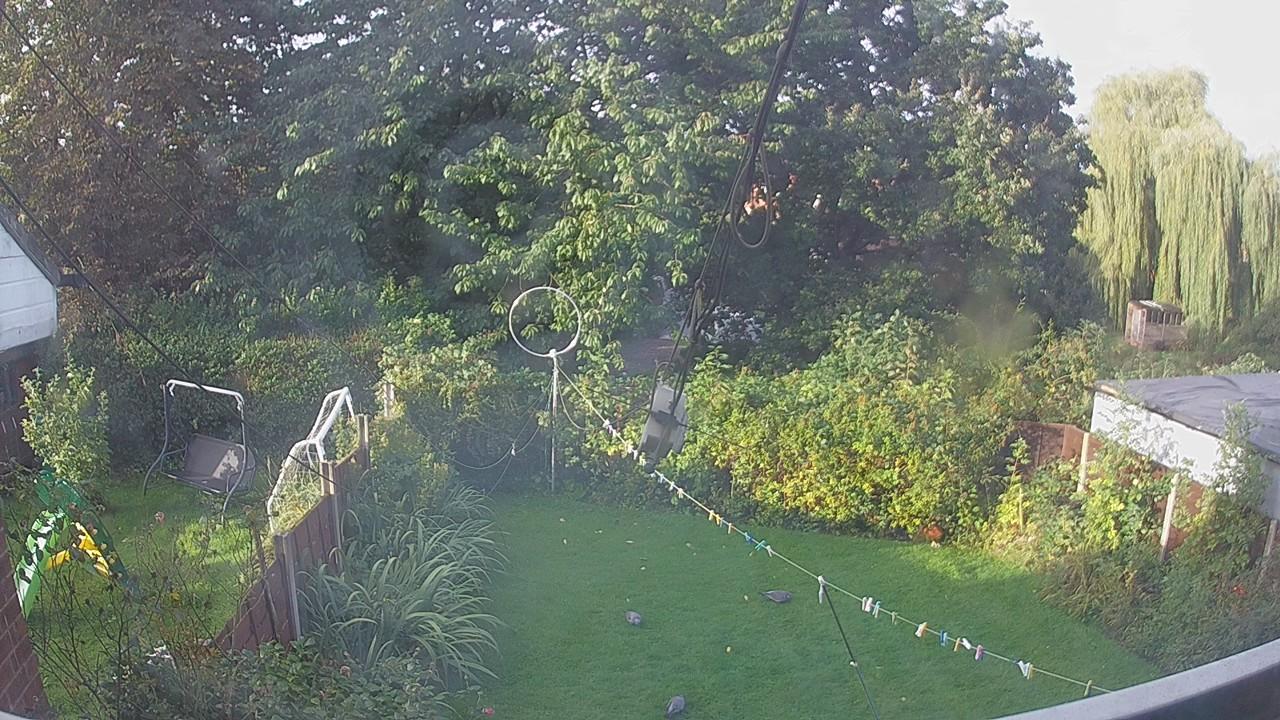 20260919_071732_cam1.jpg