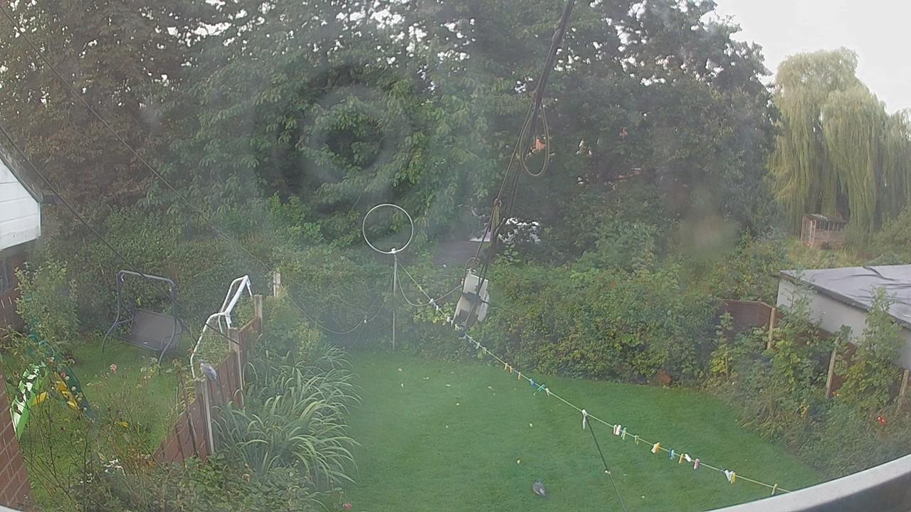 20260919_072514_cam1.jpg