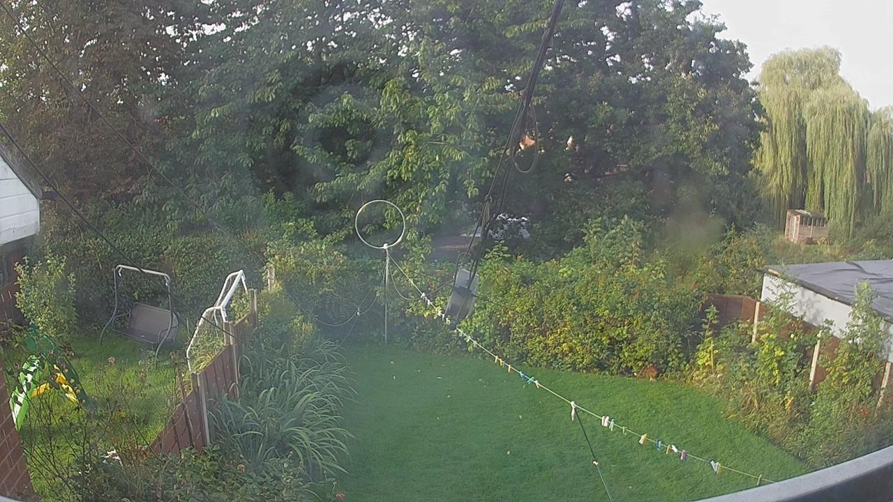 20260919_074003_cam1.jpg