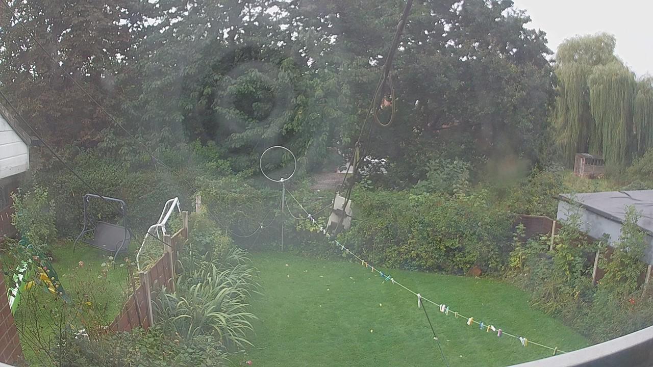20260919_080157_cam1.jpg