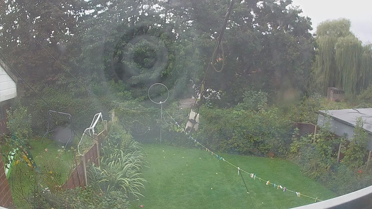 20260919_080530_cam1.jpg