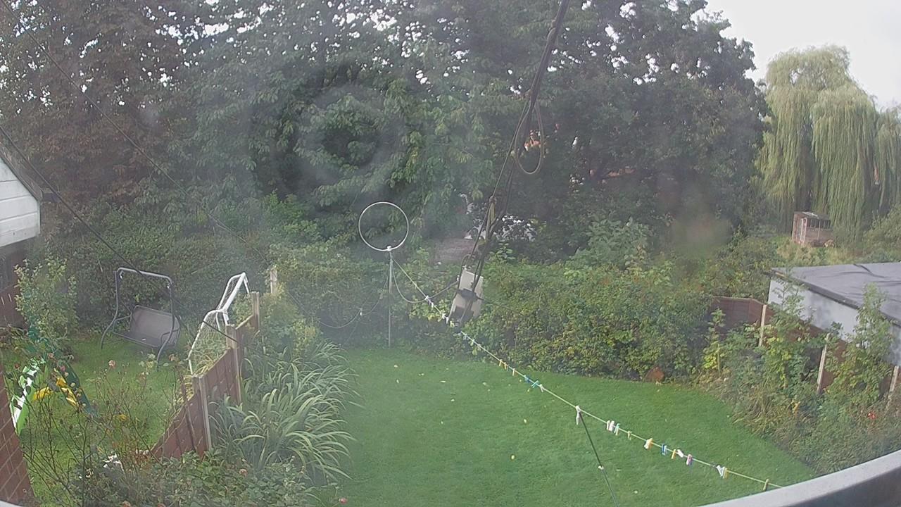 20260919_080903_cam1.jpg
