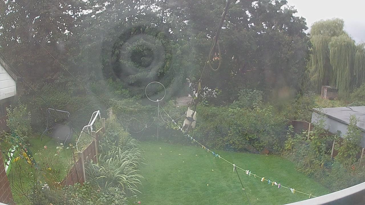 20260919_081236_cam1.jpg