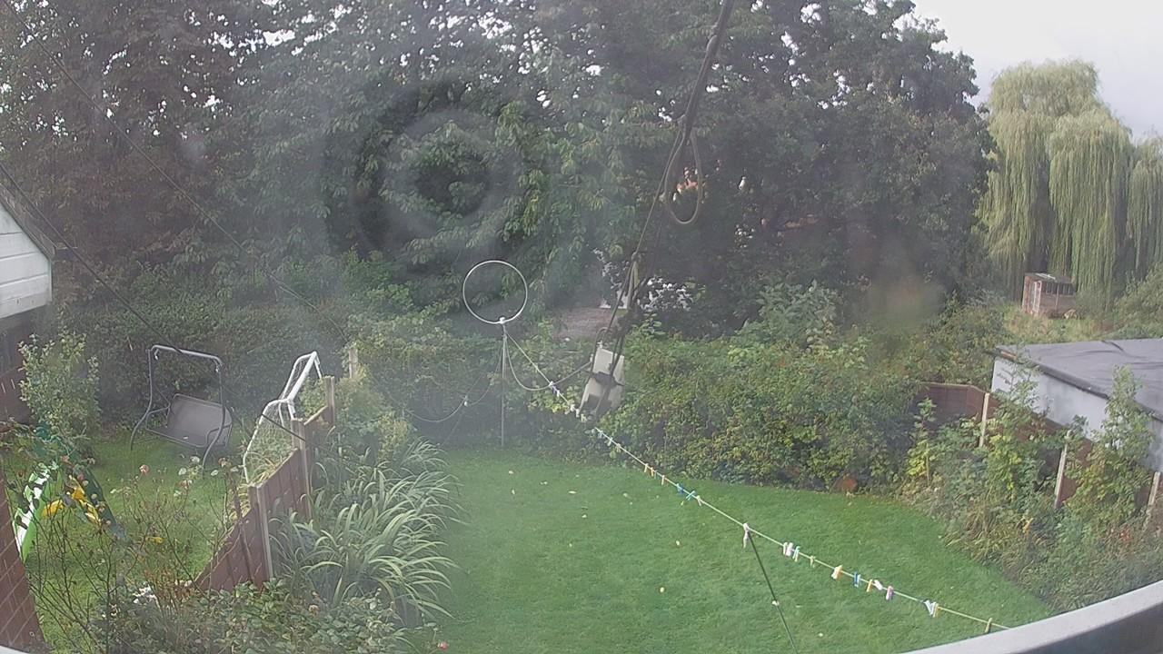 20260919_081609_cam1.jpg
