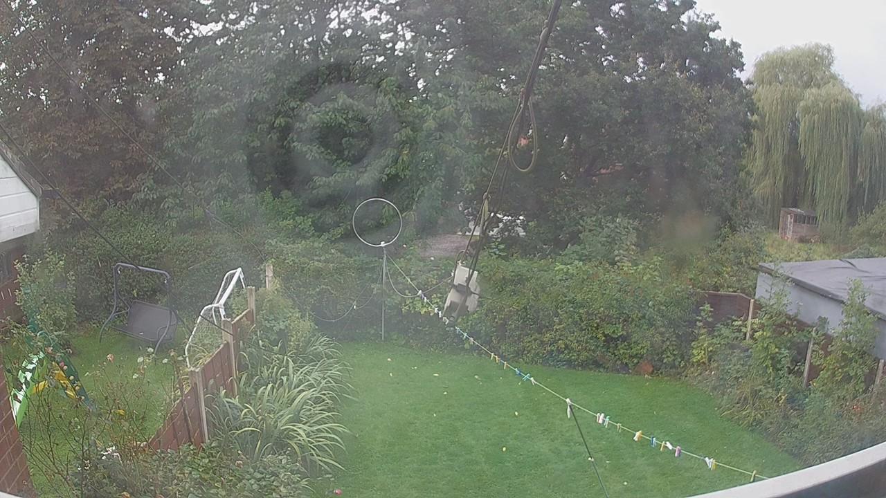 20260919_081942_cam1.jpg