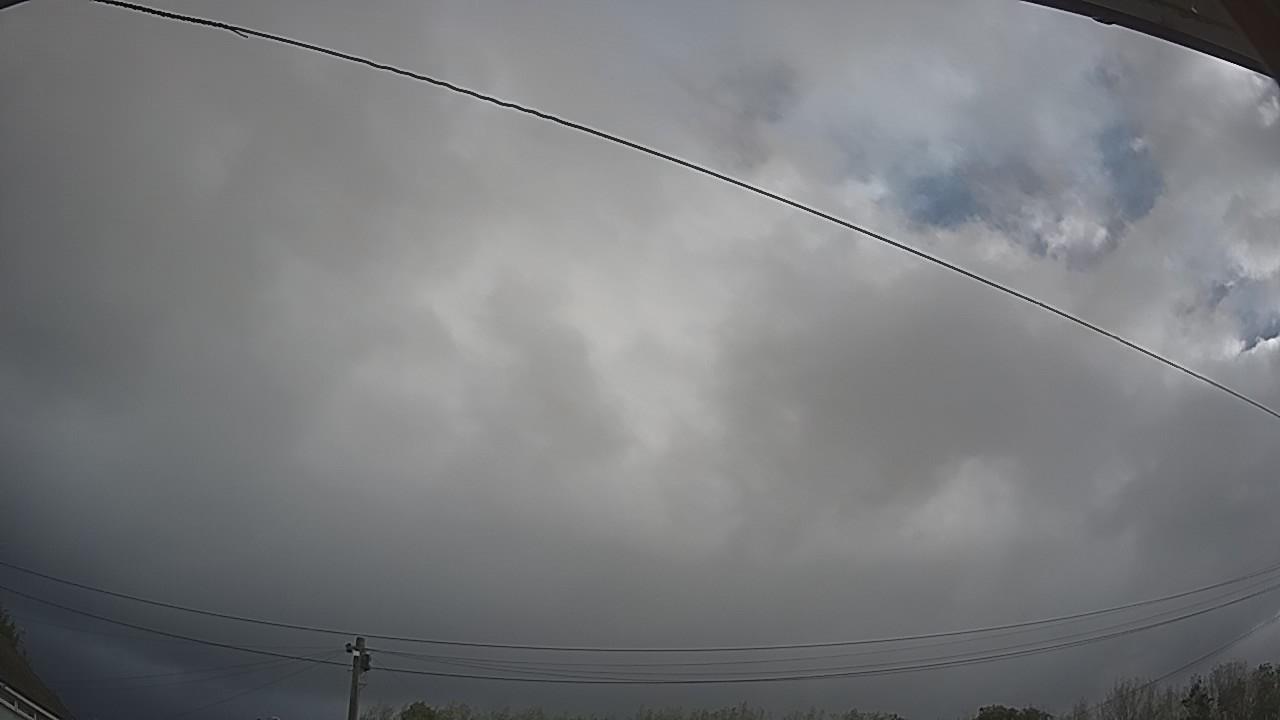 20260919_081943_cam2.jpg
