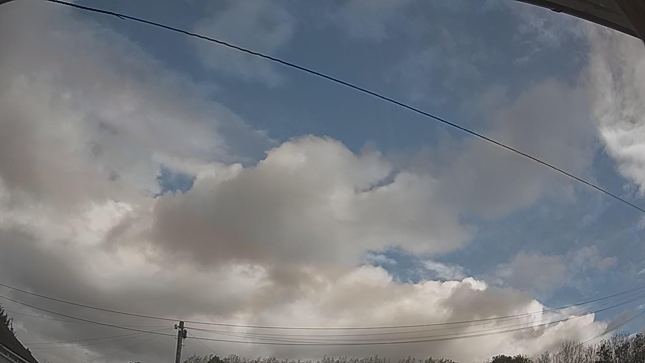 20260919_091753_cam2.jpg