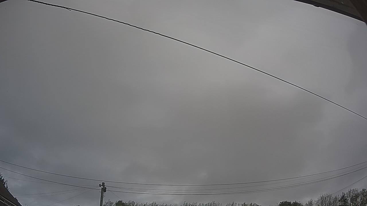 20260919_100602_cam2.jpg
