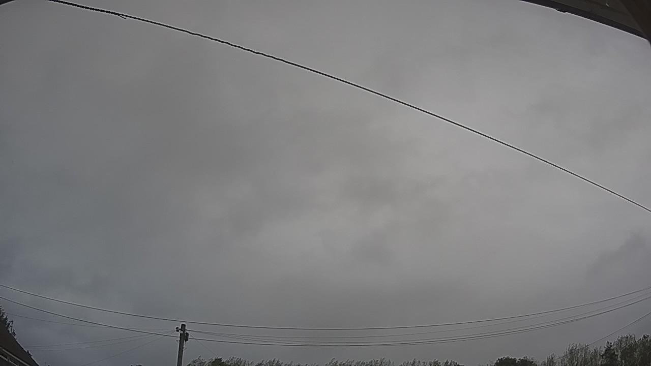 20260919_100908_cam2.jpg