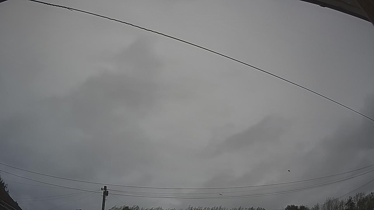 20260919_103303_cam2.jpg