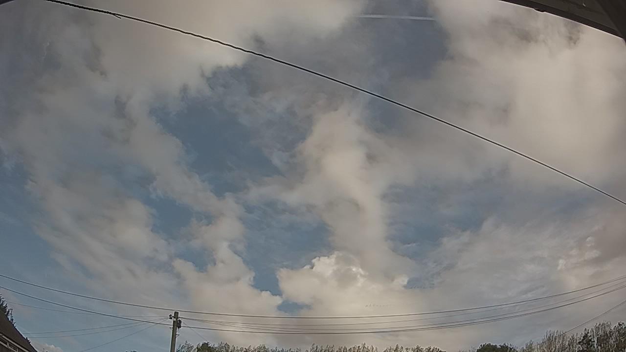 20260919_114423_cam2.jpg