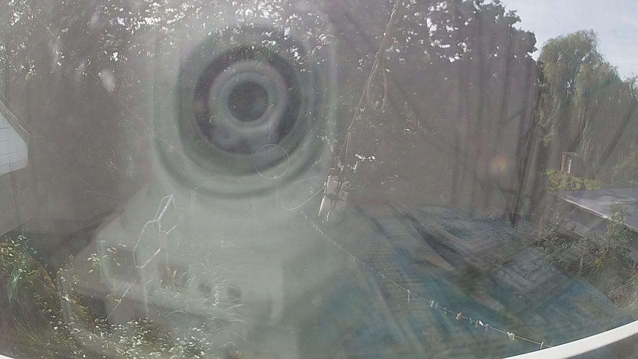 20260919_125314_cam1.jpg