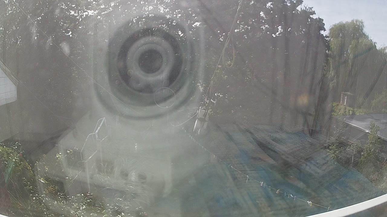 20260919_130139_cam1.jpg